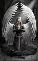 Dark